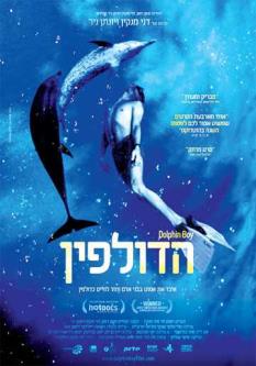 הדולפין