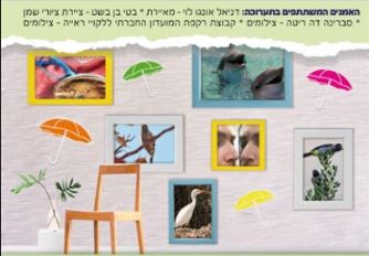 מוסיפים על האור